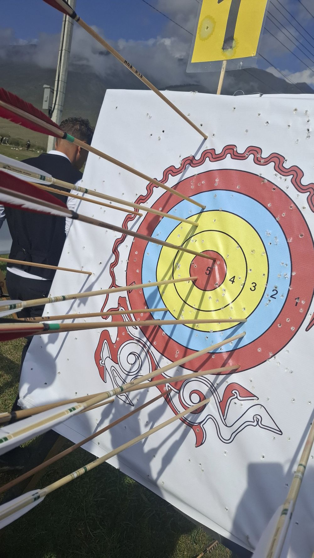 Wooden arrows in a traditional target face